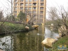 一期中间楼层247平三房,飞机户型,南北通透,满五年。