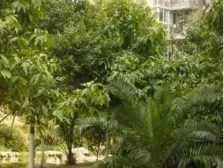 鹏运左岸精装三室一卫,户型好,低楼层