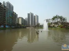 恒大名都 3室2厅 南