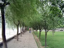 主城片区 北固门三房