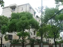 一梯两户,边套全明两房,业主诚意出售,好看房