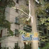 长风·师大一村·1室·1厅