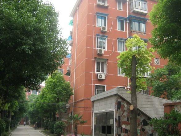 田林九村实景图