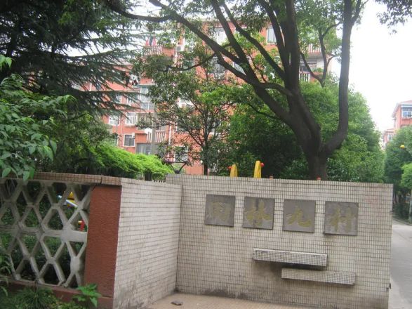 田林九村实景图