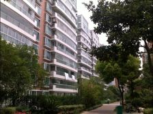 诚心出售 四室平层 拎包可住 洋房