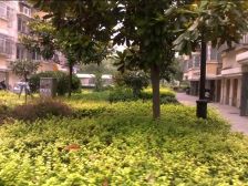 怡安花苑南区,房东诚心出售,没有大税