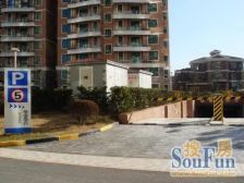 满二电梯房交通方便户型合理