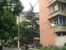 全明一房,采光很好,小区中心位置,看房预约!!