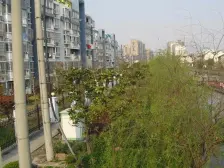 周浦·南郊花园-周康路129弄·6室·1厅