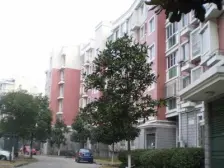 店长主推2005次新房,低总价,采光无遮挡,诚意出售