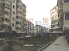 新上好房 清新装修 阳光厅 视野开阔 诚售