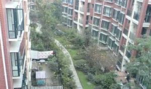 安澜骏景 2室2厅 东 东南