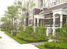 新附院旁 英伦风联排别墅 带车位 4层挑空