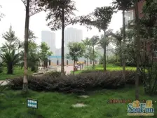 江北 单价7000买大四房 轻轨方便 北滨路上