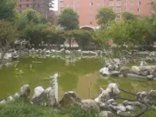 此房满五年唯一省个税、采光好、中间楼层、业主诚心