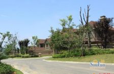 纯独栋 朝南大花园 看房随时 位置好