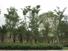 汇景御海蓝岸高层三房 随时可以看