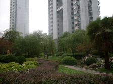 南北板式户型,楼层好,近公园,地铁,配套完善诚意卖