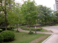 悠和家园06年商品房,高区视野开阔,可看东方明珠三件