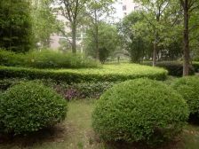 大宁·悠和家园·1室·2厅