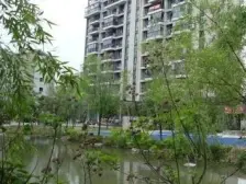 园区南,满五唯一税费低 总价低 上车优选