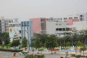 东区东林美域,精装修保养好,带大入户花园,双顺峰