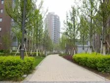 三林 · 万科新里程 · 1室 · 2厅