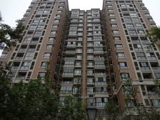 印象好楼层好位置这个价格就这一套