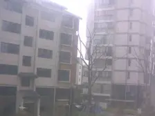 文曲路103号 2室1厅 东