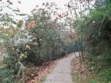 中梁山 协兴村一房27万