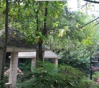 黄埆坪正街小区实景图