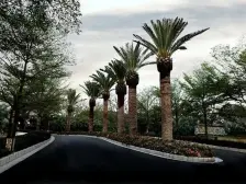 毛坯高层,靠山看湖,户型方正,业主诚心卖