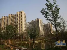 509平,两梯一户,价格有惊喜,让你相信爱情的好房子