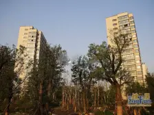 三期,科技住宅,L型景观阳台,六恒系统,极智体验