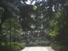 石小路(沙坪坝区) 2室1厅 东南