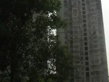 金鹏花园3室西北朝向531.00万元/套出售