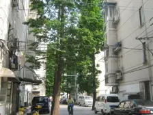 南北户型,中间位置,采光充足,全明边套,诚意出售