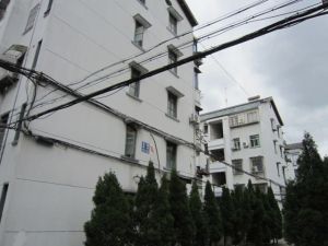 桂园新村,格局好,户型好,采光好,阳光全日照。