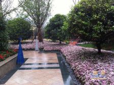 水岸国际家装两房,中高楼层,采光好,小区环境优美