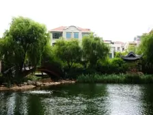 小区中心位置,采光充足,精装修,复式房,繁华地段,南北通透,三房朝南,房型正气