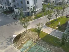 洋房顶复户型 带大露台 带汽车库 实得面积300平