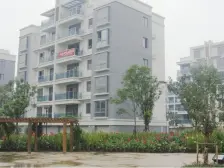 摘星层 业主当毛胚出售 无贷款 无抵押