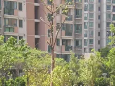 嘉诚国际花园3室南朝向460.00万元/套出售