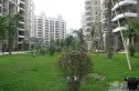达成新居实景图