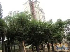 小西湖电梯房 三室两厅两卫 全明户型可按揭 格兰绿都