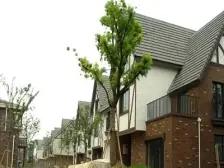 独栋欧式度假别墅 200平私家花园 面积可达500平