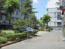 湾楼公寓精装四房光线好带大车棚无人读书