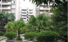 东方花园2区 3室2厅 南