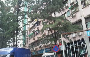 一梯两户实用单位房框架结构近市场交通便利