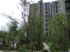 户型方正 带地下室面积大 单价低 可用空间大